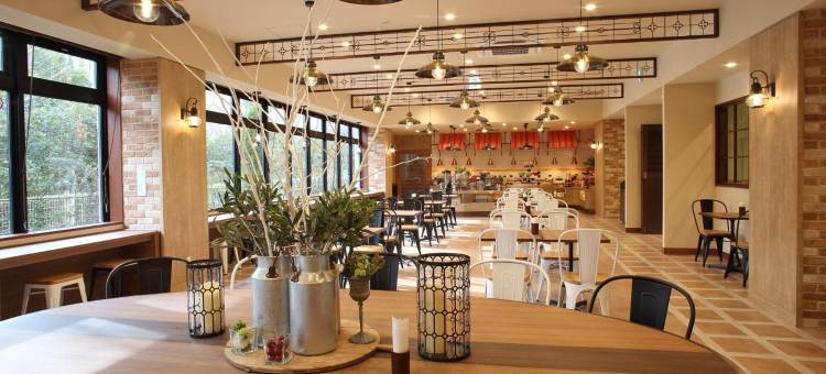 欧亚大陆舞滨酒店别馆(Hotel Eurasia Maihama Annex)图片