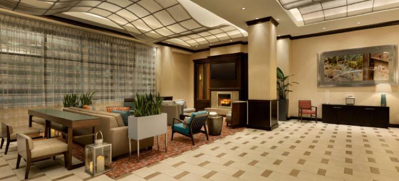 希尔顿花园酒店-亚特兰大市区(Hilton Garden Inn Atlanta Downtown)图片