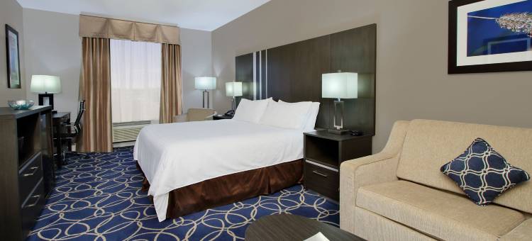 智选假日套房酒店休斯顿洲际ARPT(Holiday Inn Express & Suites Houston North - IAH Area)图片