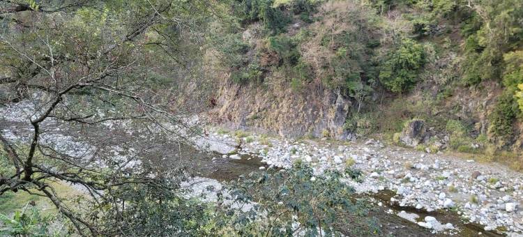 台中谷关明高温泉会馆图片