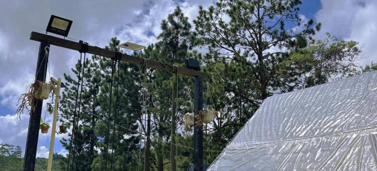 金马伦高原后院豪华露营酒店(The Backyard Glamping Cameron Highlands)图片