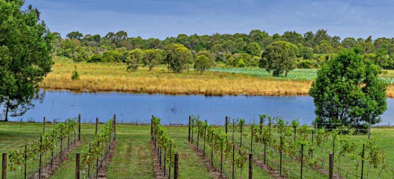 纳兰巴汽车旅馆(Narangba Motel (Formerly Brisbane North B&B and Winery))图片
