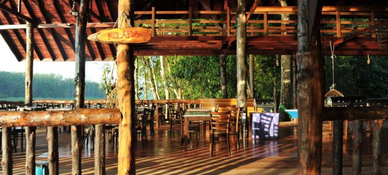 婆罗洲天然苏克毕丽特山林小屋(Borneo Natural Sukau Bilit Resort)图片