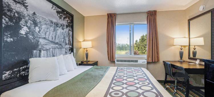 芒特普莱森特温德姆速8酒店(Super 8 by Wyndham Mt. Pleasant)图片