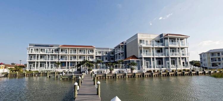 万枫钦科蒂格岛滨水酒店及套房(Fairfield Inn & Suites Chincoteague Island Waterfront)图片
