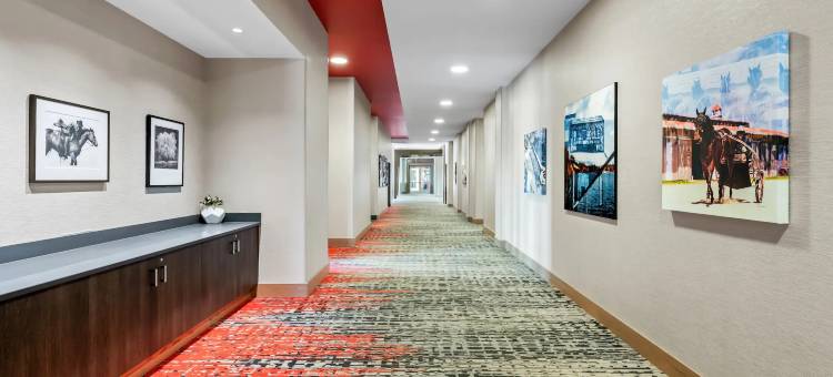 奔跑艾斯温德姆商标精选酒店(Running Aces Hotel & Casino Trademark Collection by Wyndham)图片