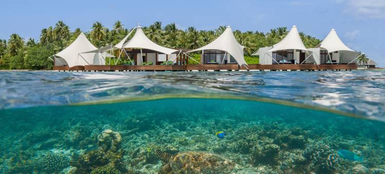 马尔代夫宁静岛W酒店(W Maldives)图片