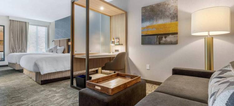 夏洛特西南万豪SpringHill Suites酒店(SpringHill Suites Charlotte Southwest)图片