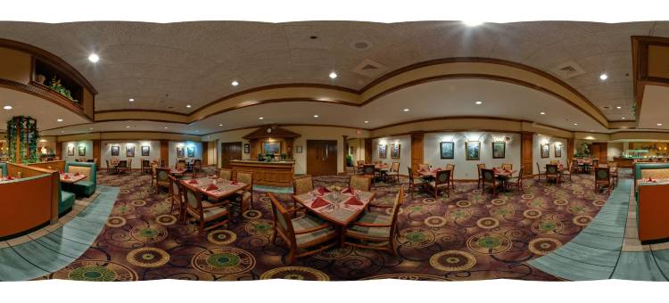 孟菲斯假日酒店-孟菲斯大学(Holiday Inn Memphis - University of Memphis)图片