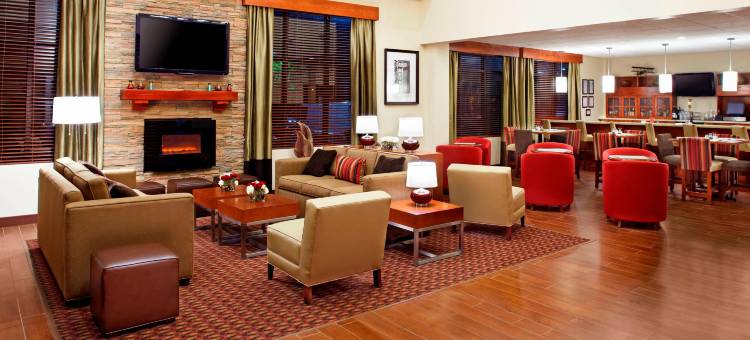 休斯顿霍比机场福朋喜来登酒店(Four Points by Sheraton Houston Hobby Airport)图片