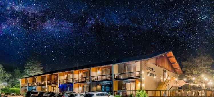 维也纳酒店(Hotel Vienna)图片