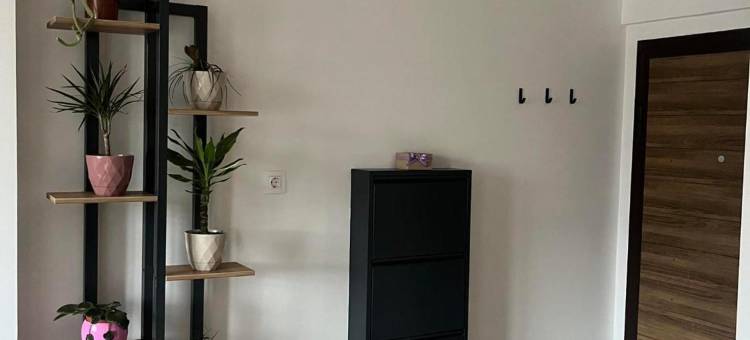Stellar Apartment图片