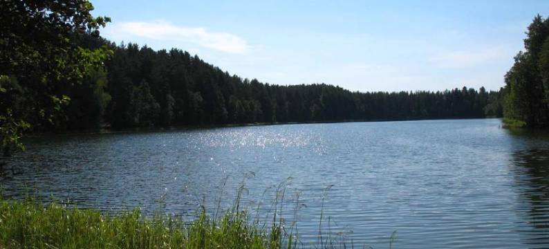 塞利格酒店(Seliger Hotel)图片