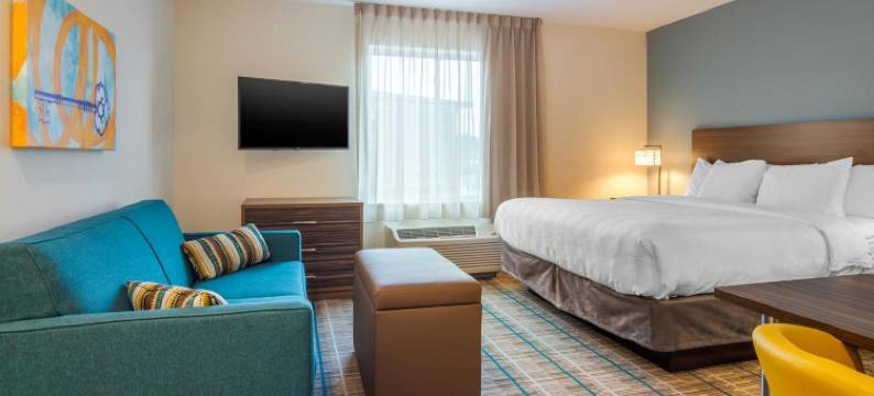 亚特兰大南部纽南美茵斯坦套房酒店(MainStay Suites Newnan Atlanta South)图片