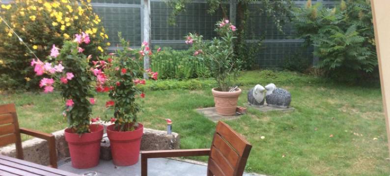 普罗蒂亚门宁道住宿加早餐酒店(B&B the Protea)图片