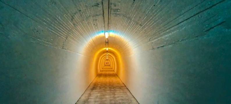 BK木兰汽车旅馆(BK's Magnolia Motor Lodge)图片