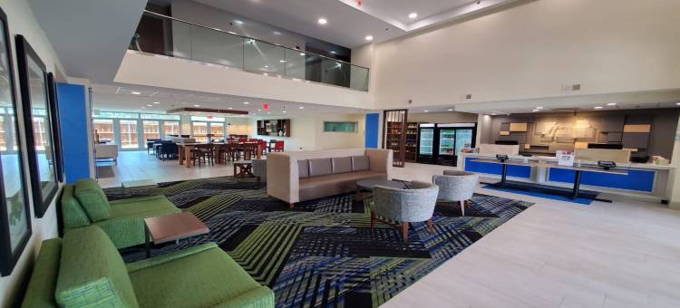 阿林顿北体育场区智选假日套房酒店(Holiday Inn Express & Suites Arlington North – Stadium Area)图片