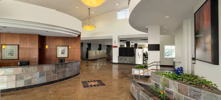 温德姆菲尼克斯机场-坦佩(Wyndham Phoenix Airport/Tempe)图片