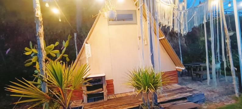 阿米卡杰农场(Amikaje Farm)图片