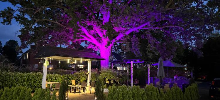 盖特威克白宫酒店(The Gatwick White House Hotel)图片