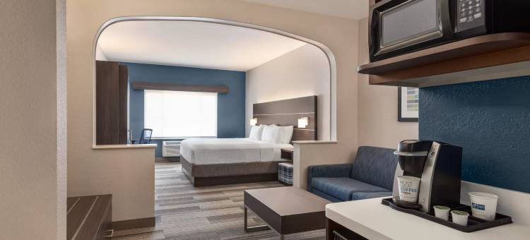 智选假日套房酒店丹佛机场(Holiday Inn Express & Suites Denver Airport)图片