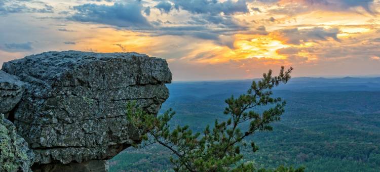 安尼斯顿牛津万怡酒店(Courtyard Anniston Oxford)图片