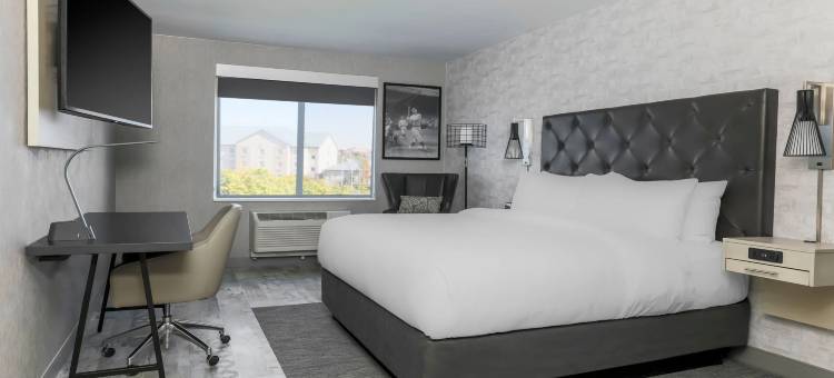 喜来登福朋阿马里洛中心酒店(Four Points by Sheraton Amarillo Central)图片