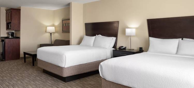 智选假日套房酒店斯奈德(Holiday Inn Express & Suites Snyder)图片