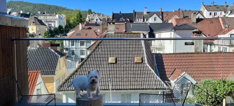 卑尔根城市盒子酒店(Citybox Bergen City)图片