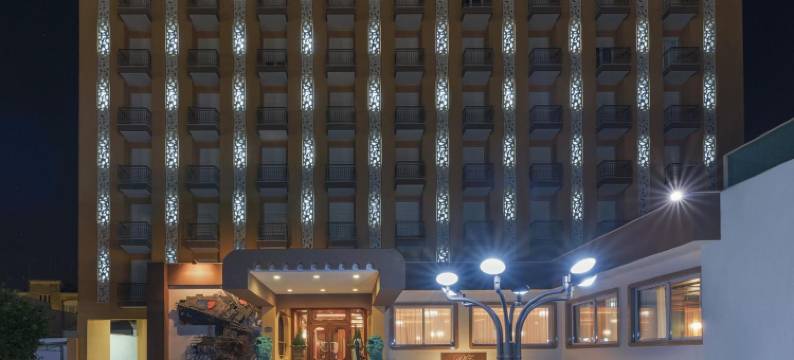 戴勒帕姆酒店(Hotel Delle Palme)图片