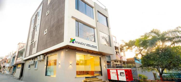 Treebo Neel Orchid图片