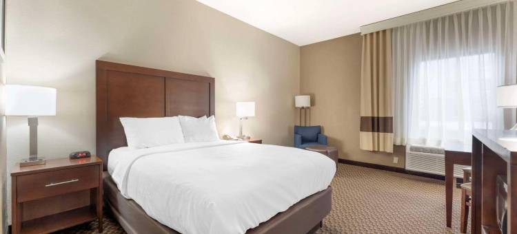 舒适酒店及套房(Comfort Inn & Suites)图片