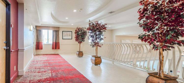 怀利舒适套房酒店(Comfort Inn & Suites Wylie)图片