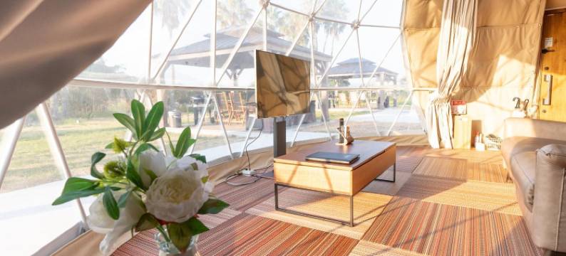 利夫马克斯度假酒店-樱岛海滨店(LiVEMAX RESORT SAKURAJIMA SEA FRONT)图片