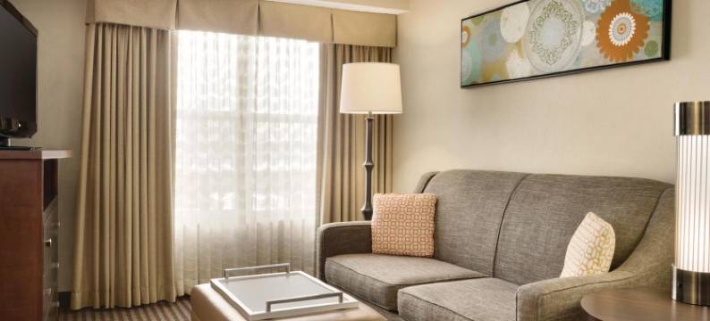 大急流城Homewood Suites by Hilton(Homewood Suites Grand Rapids)图片