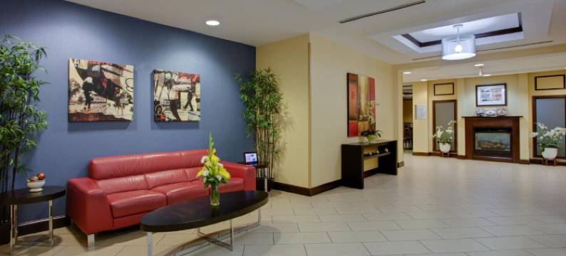 智选假日套房酒店罗利西南北卡罗来纳州(Holiday Inn Express & Suites RALEIGH SW NC STATE by IHG)图片