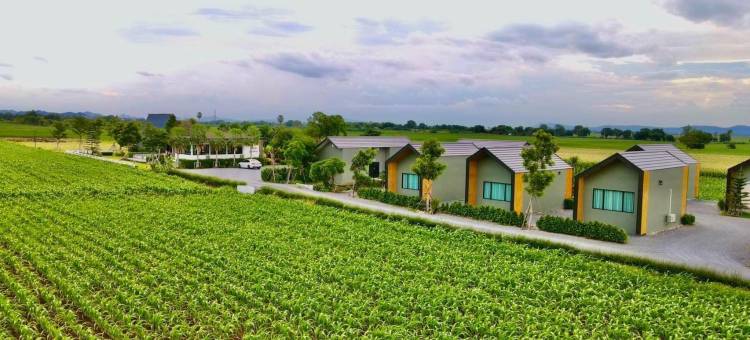 Tara Valley Saraburi图片