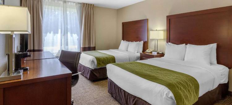 北圣彼得堡舒适酒店(Comfort Inn St Petersburg North)图片