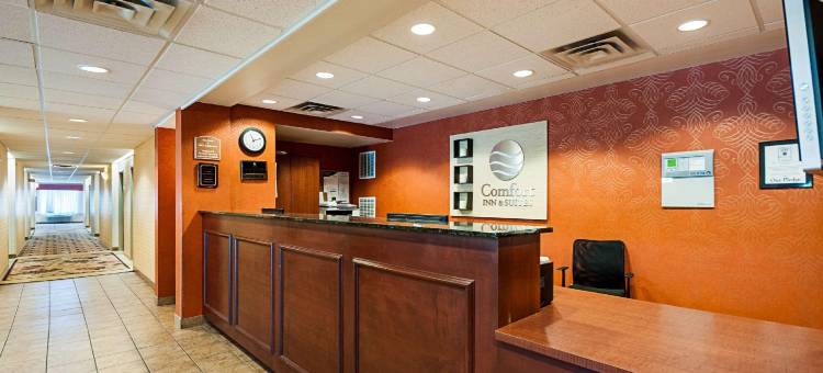 剑桥套房舒适酒店(Comfort Inn & Suites Cambridge)图片