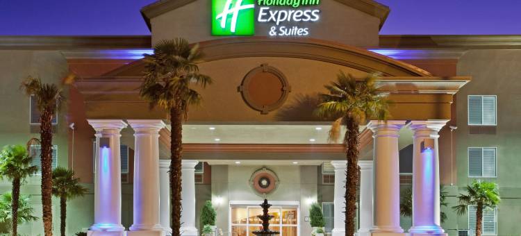 智选假日套房酒店莫德斯托，萨利达(Holiday Inn Express & Suites Modesto-Salida)图片