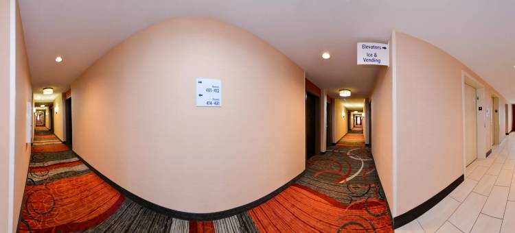 智选假日套房酒店梦露(Holiday Inn Express & Suites Monroe)图片