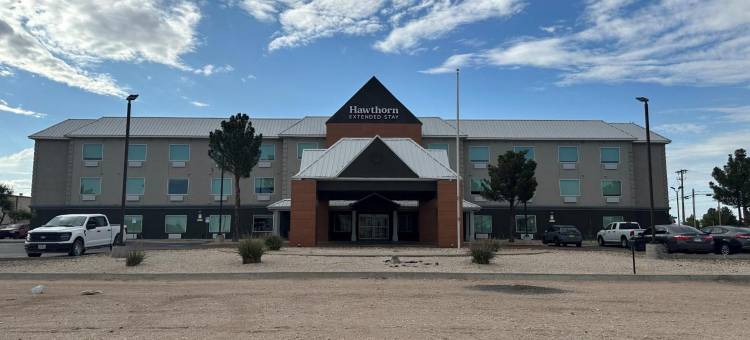 Hawthorn Extended Stay by Wyndham Hobbs图片