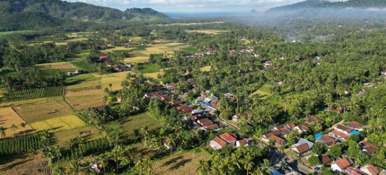 美庐贝提丽冒险民宿(Adventure Turtle Homestay Meru Betiri)图片