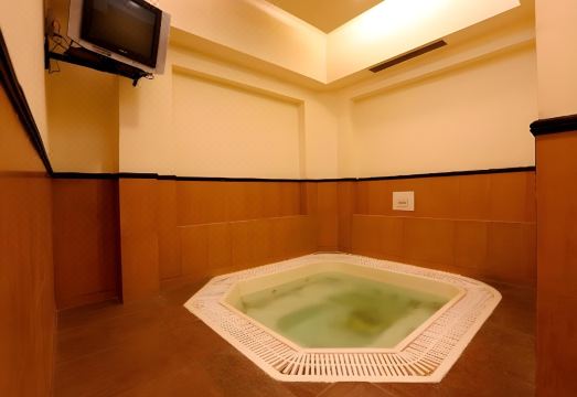 Sarovar Portico  Surajkund Faridabad Hotel Overview