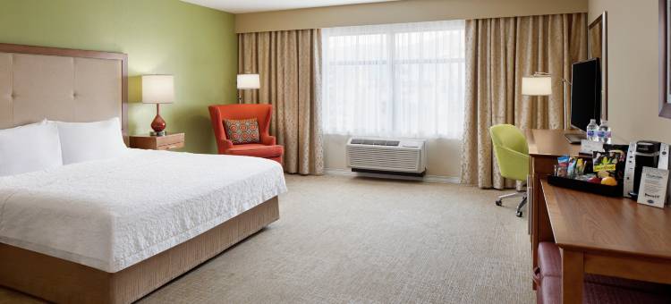 银座欢朋套房酒店(Hampton Inn & Suites Silverthorne)图片