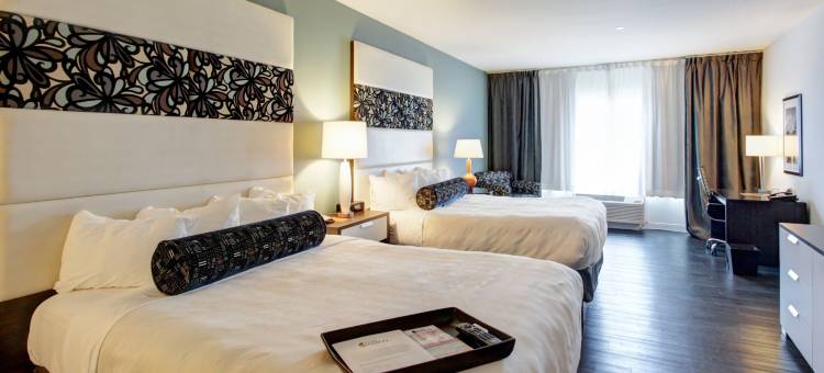 Hotel Indigo 韦科 - 贝勒(Hotel Indigo Waco - Baylor)图片