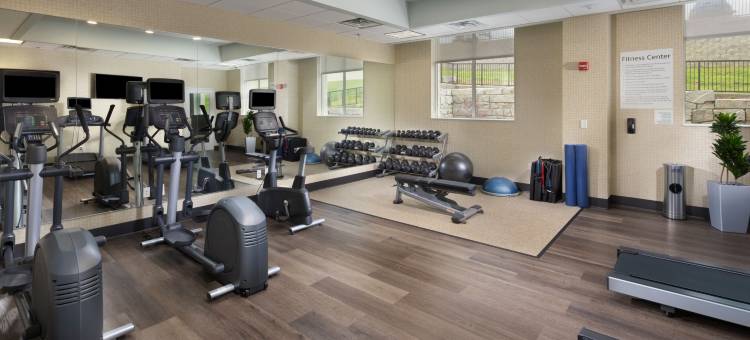洲际假日酒店及套房，阿登 - 阿什维尔机场(Holiday Inn & Suites Arden - Asheville Airport)图片