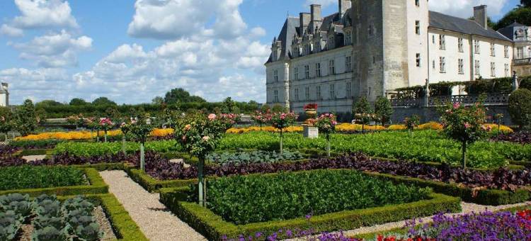 宜必思快捷图尔南酒店(Ibis Budget Tours Sud)图片