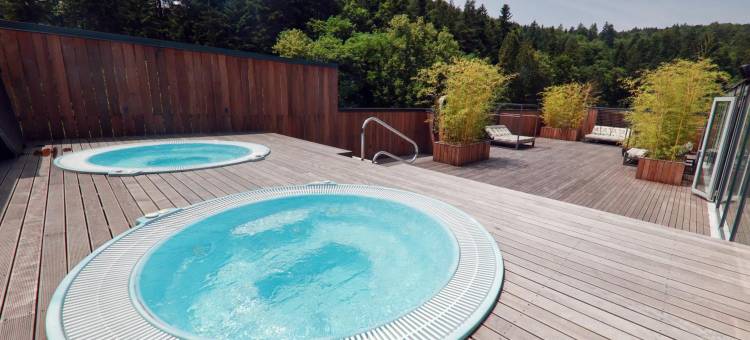 多布尔纳精品酒店 - 多布尔纳温泉(Boutique Hotel Dobrna - Terme Dobrna)图片