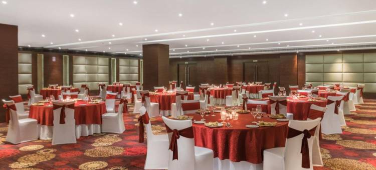 阿格拉丽笙酒店(Radisson Hotel Agra)图片